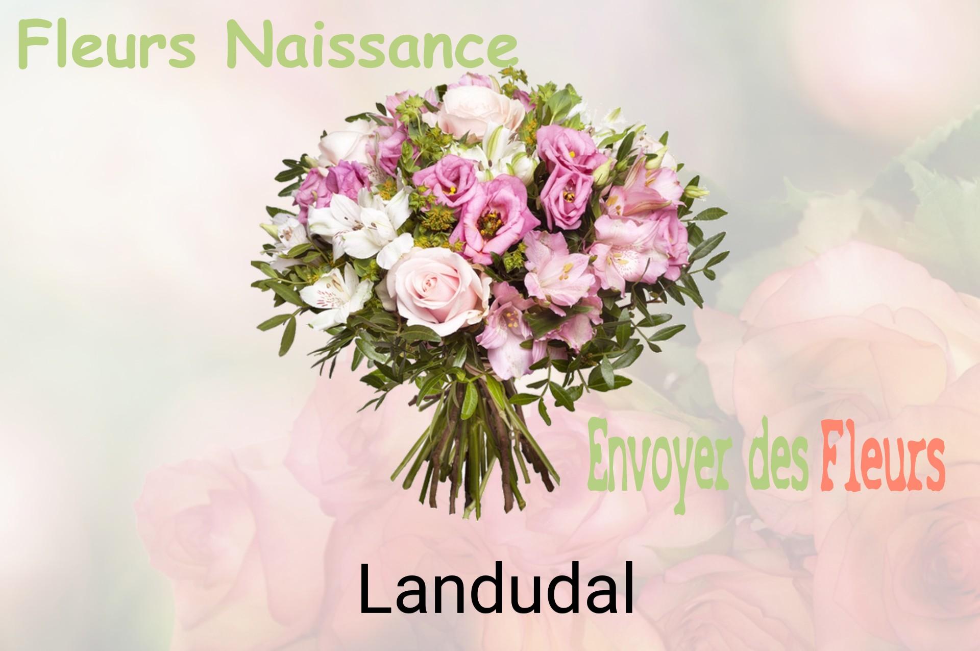 Bouquet de fleurs de naissance livré à Landudal